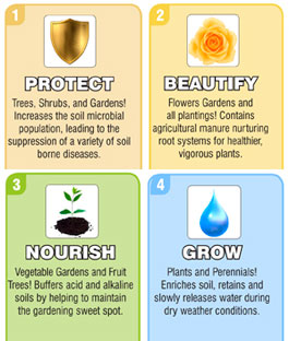 4-in-1-benefits